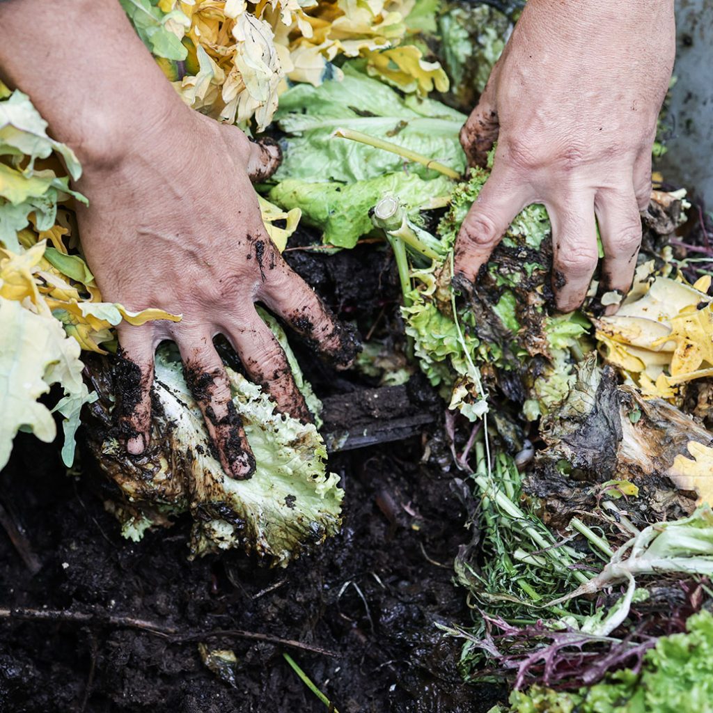Bioremediation of Oil-Contaminated Soil